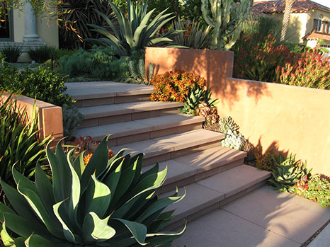 paver steps in lush front yard
